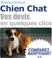 Assurance Chiens Chats
